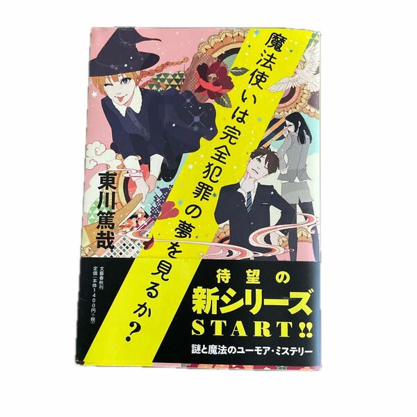 魔法使いは完全犯罪の夢を見るか?