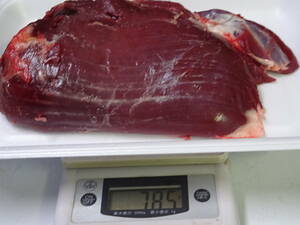 天然鹿肉　捕れたて　モモ肉　その他　７８５ｇ　　同梱可能