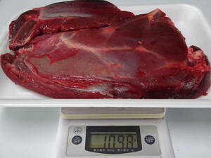 天然鹿肉　捕れたて　モモ肉　その他　１０９８ｇ　　同梱可能