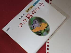  小さな蝶たち―身近な蝶と草木の物語 西口 親雄【著】 八坂書房　2006