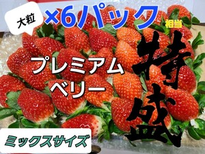 特典あり!大量大量!!!約6パック入り☆本日やっちゃいます【タイムセール】プレミアム　ベリ～農園直送★最速お届け《約3～5L玉》絶対新鮮!