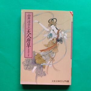 天人唐草　自選作品集 （文春文庫　ビジュアル版　Ｖ６０－２７） 山岸凉子／著