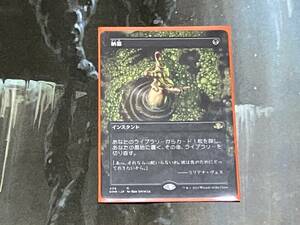 MTG 納墓/Entomb ボーダーレス 日 1枚迄 DMR　