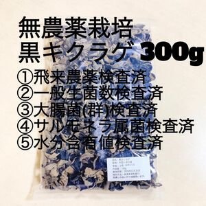 乾燥キクラゲMサイズ300g E