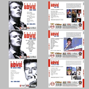 【スペシャル版】DAVID BOWIE CD1+2+3 超大全集 まとめて31アルバムMP3CD 3P⊿