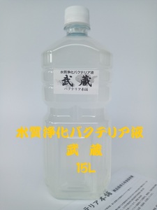 【バクテリア本舗 本店】武蔵 [15L]高濃度水質浄化バクテリア液(らんちゅう,めだか,グッピー,金魚,錦鯉,シュリンプ,熱帯魚,海水魚）