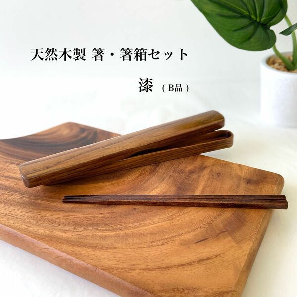 【大人気】木製 箸・箸箱セット (B品)漆