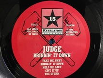 JUDGE / BRINGIN' IT DOWN 25TH ANNIVERSARY (LP) (US盤)_画像2