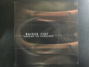 RAISED FIST / IGNORING THE GUIDELINES (MELODIC)