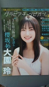 グラビアチャンピオン VOL.3 櫻坂46 大園玲 日向坂46 渡辺莉奈 AKB48 鈴木くるみ ポスター付 新品未読