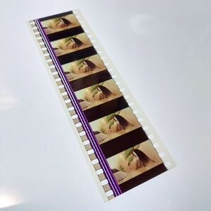 ◆千と千尋の神隠し◆35mm映画フィルム 6コマ【247】◆スタジオジブリ◆ [Spirited Away][Studio Ghibli]の画像2