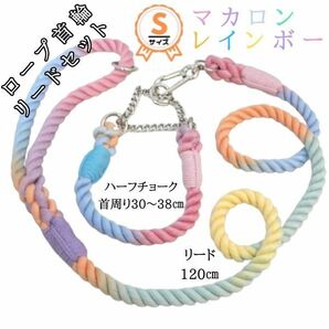 ハーフチョーク首輪・120cmリードセット★レインボー★綿☆ロープ★サステナブル★B