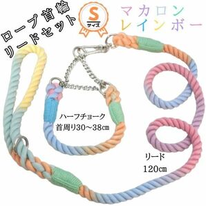 ハーフチョーク首輪・120cmリードセット★レインボー★綿☆ロープ★サステナブル