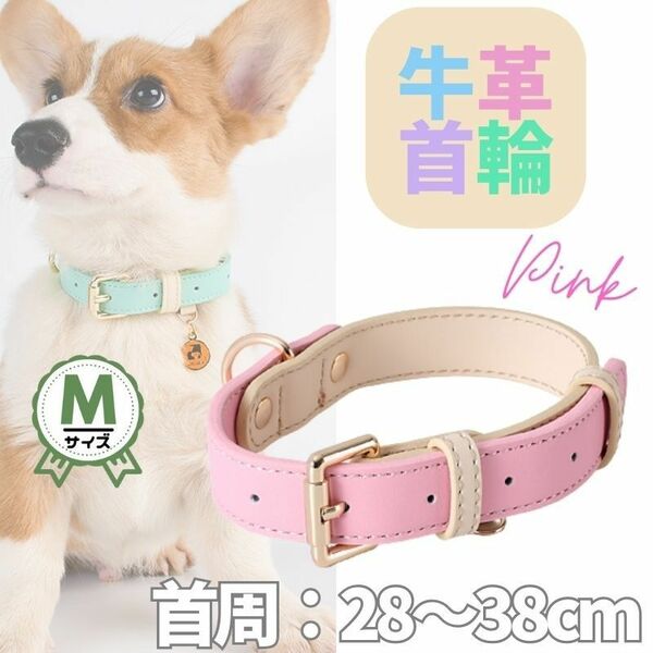 革☆首輪☆単品★ピンク★Mサイズ★パステル・バイカラー★牛革☆小型犬