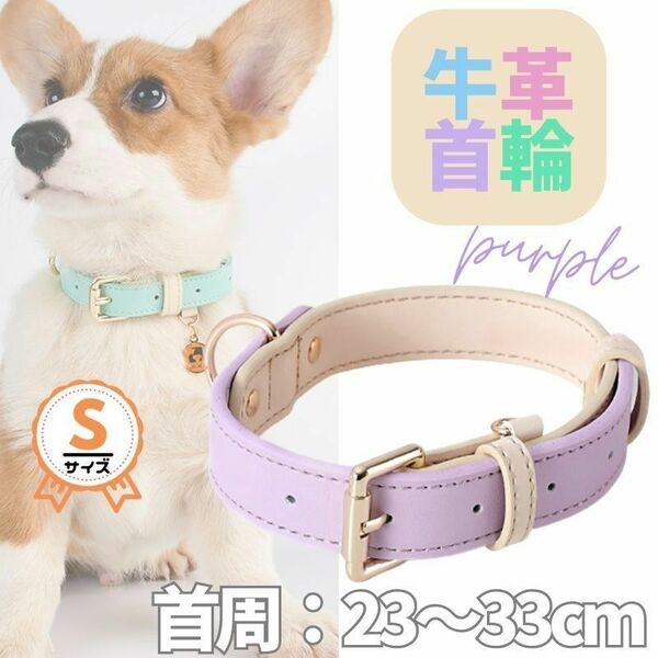 革☆首輪☆単品★パープル★Sサイズ★パステル・バイカラー★牛革☆小型犬