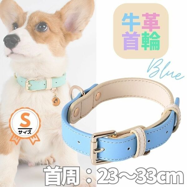 革☆首輪☆単品★ブルー★Sサイズ★パステル・バイカラー★牛革☆小型犬