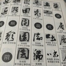 大陸本「張瑞図、徐渭行草書字典」上海辞書出版社　2014年_画像10