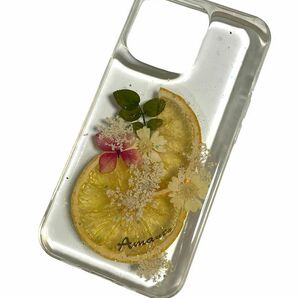 （5/10-5/22日発送できません) amante フルーツ iPhone 12 proスマホケースアマンテ　押し花