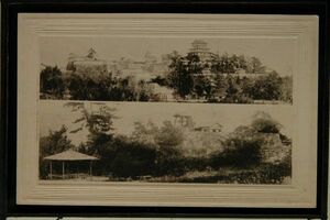 14838 戦前 絵葉書 岡山 鶴山城 森忠政築城 鶴山公園の一部 津山城 写真原版は明治6年撮影