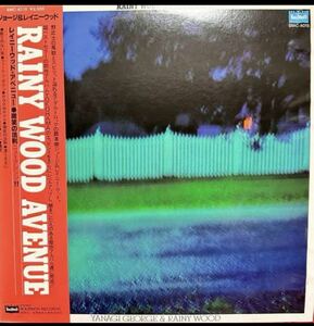 柳ジョージ＆レイニーウッド /Avenueアナログ盤 YANAGI GEORGE & RAINY WOOD