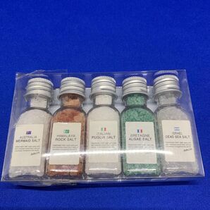 G8008 ジーピークリエイツ リトルアナザートリップ 5種セット