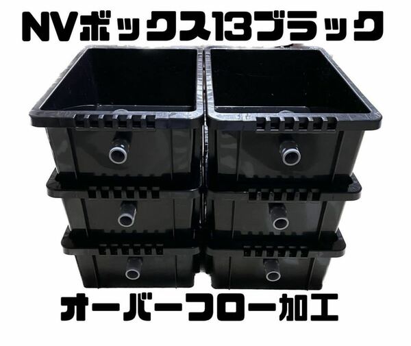 メダカ飼育容器 NVボックス13L 6個セット オーバーフロー加工済　ブラック