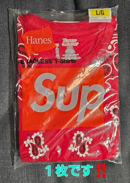 Supreme/Hanes Bandana Tagless Tees サイズL