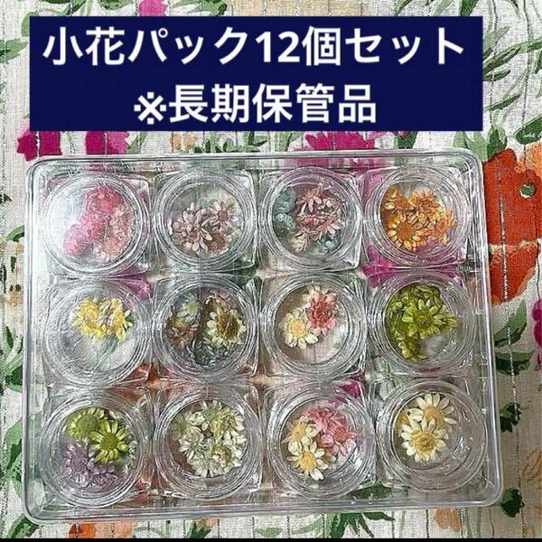 小花パック12個セット ※長期保管品