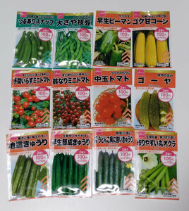 未使用　野菜の種（果菜類）　２４袋