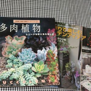 趣味の園芸 多肉植物 ユニークな形と色を楽しむ ＮＨＫ趣味の園芸 ガーデニング２１／ＮＨＫ出版