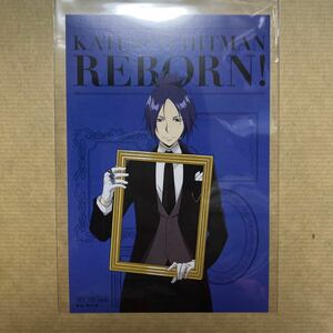  Katekyo Hitman REBORN! Jean fes middle out . industry six road . illustration card 