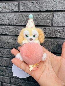 ディズニー ぬいぐるみ クッキーアン TDS