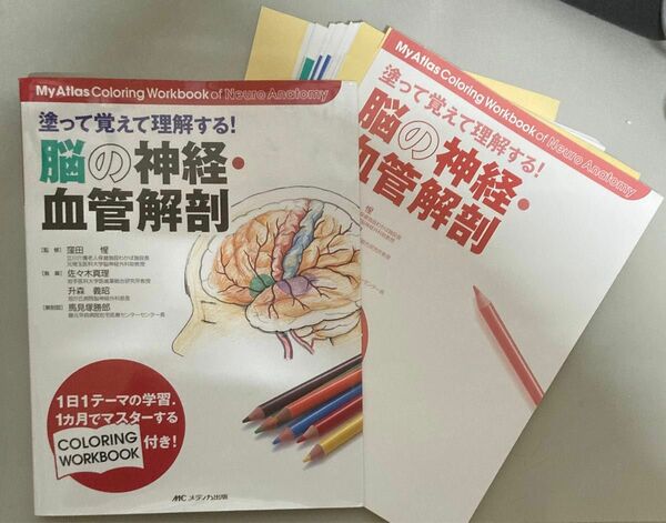 塗って覚えて理解する！脳の神経・血管解剖 窪田惺／監修　佐々木真理／執筆　升森義昭／執筆　馬見塚勝郎／解剖図