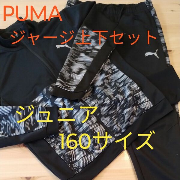 【PUMA】ジュニア ジャージ上下セット 160サイズ
