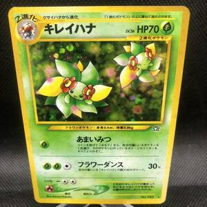 ポケモンカード　旧裏面　旧裏 キレイハナ　キラ　②