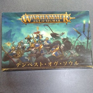 WARHAMMER ウォーハンマー AoS スターターセット テンペストオブソウル 未使用品