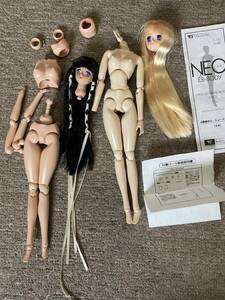 ボークス NEO-EB ボディ&ヘッド 1/6 ジャンク VOLKS NEO EB-BODY