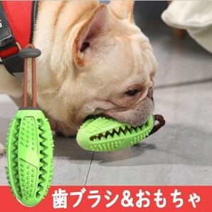 送料無料【世界で大ヒット】犬の歯磨き、おもちゃ、知育グッズ、犬のストレス発散　　　しつけ　デンタルケア　pay3