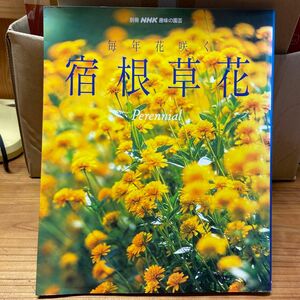 毎年花咲く宿根草花 （別冊ＮＨＫ趣味の園芸） ＮＨＫ出版　編