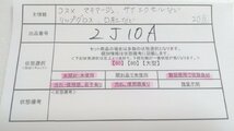 コスメ 《大量セット》《未開封品あり》マキアージュ サナエクセルほか 20点 リップグロス 口紅ほか 2J10A 【60】_画像5