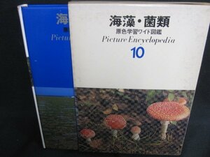 原色学習ワイド図鑑10　海藻・菌類　シミ大日焼け強/SDZK