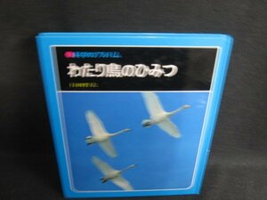 科学のアルバム　わたり鳥のひみつ　シミ日焼け強/SFA
