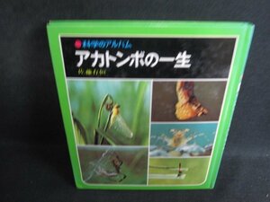 科学のアルバム　アカトンボの一生　シミ日焼け有/SFA