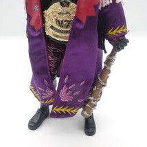 JAKKS pacific TNA IMPACT WRESTLING JOKER STING ジョーカー スティング フィギュア 10th 10周年記念 WWE レスリング USA レア tp-24x65_画像3