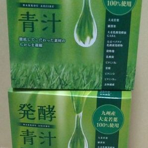 発酵青汁　九州大麦若葉　新品未開封　40包×２箱分