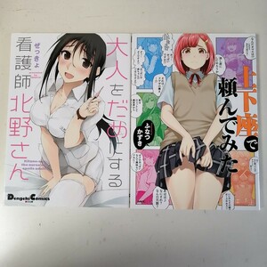 大人をだめにする看護師北野さん （Ｄｅｎｇｅｋｉ　Ｃｏｍｉｃｓ　ＥＸ　ＤＥ２７９－１） ぜっきょ／著