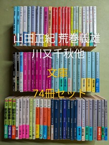 山田正紀28冊 荒巻義雄22冊 川又千秋19冊 神林長平3冊 堀晃1冊 石原藤夫1冊 角川/徳間/ハヤカワ/ソノラマ他 文庫計74冊 ※同梱不可※