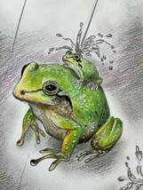 色鉛筆画　カエル　カエルの親子_画像2