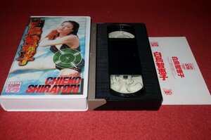 1201る4■VHS■白鳥智恵子/CHIEKO SHIRATORI/VIDEO脱アイドル/スコラ/グラビア/アイドル(送料520円【ゆ60】