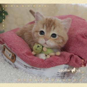 LeoRai*ya・∞・ふかふかベッドの子猫ちゃん・レッドタビー・茶トラ・チャトラシロソックス .・* 羊毛フェルト猫 *にゃんこ * ハンドメイド